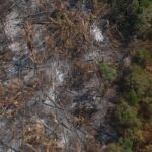 Transamazônica: 50 anos entre ufanismo e desastre ambiental